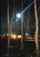 低速シンクロ撮影例